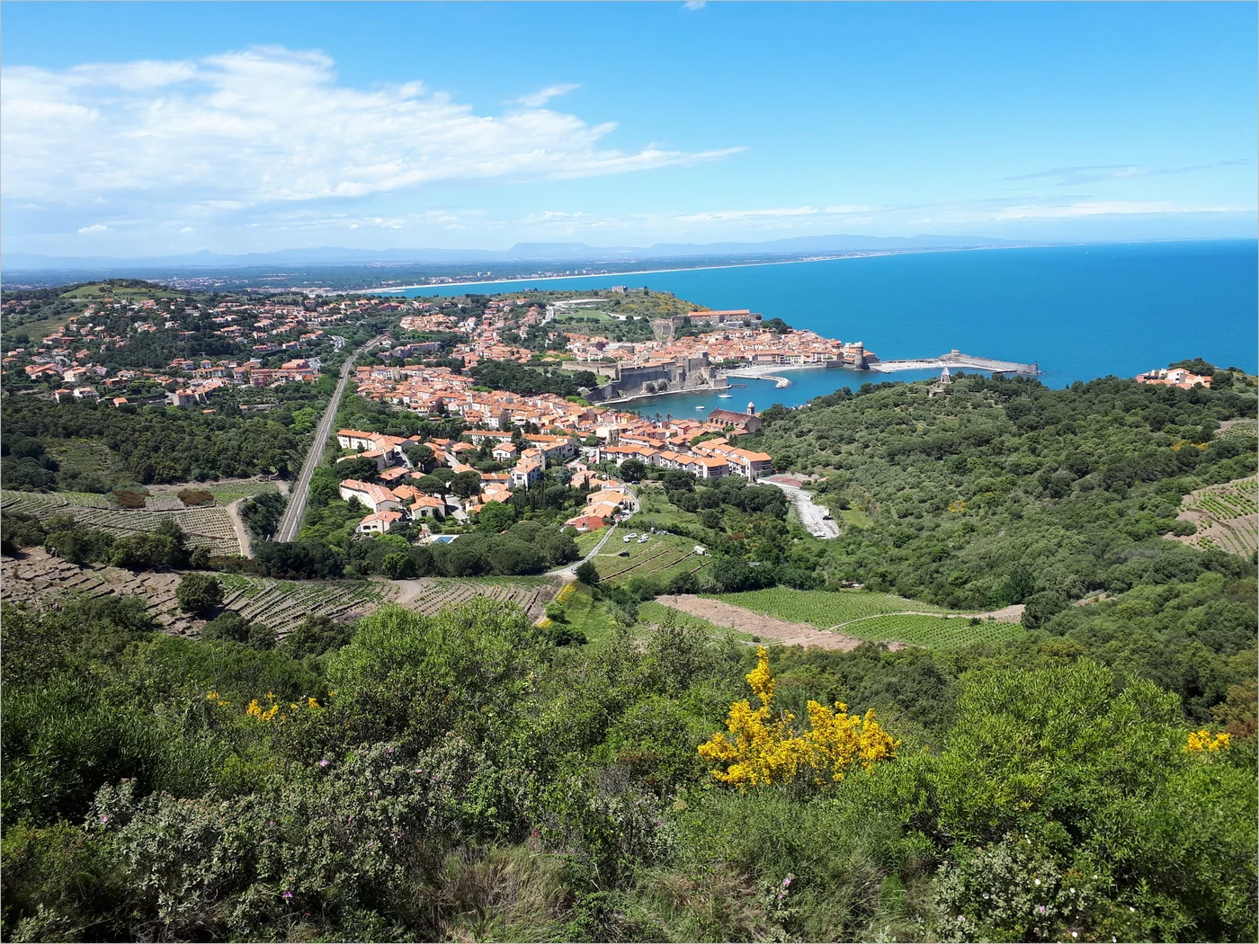 Collioure sur la Côte Vermeille, entre village catalan et mer Méditerranée